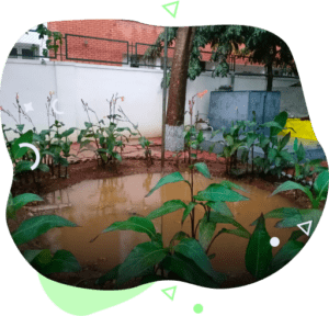 Rain Water Harvesting