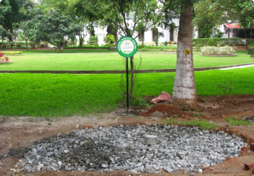 Rainwater Harvesting