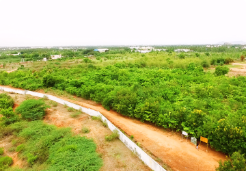 Anna University