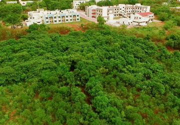 CRPF Plantation